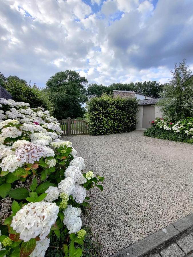 De Lucarne Villa Zottegem ภายนอก รูปภาพ