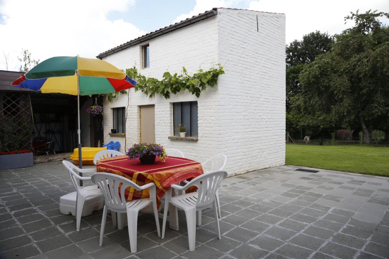 De Lucarne Villa Zottegem ภายนอก รูปภาพ