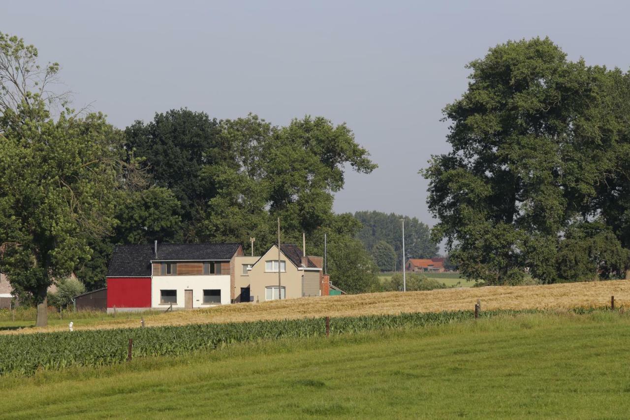 De Lucarne Villa Zottegem ภายนอก รูปภาพ
